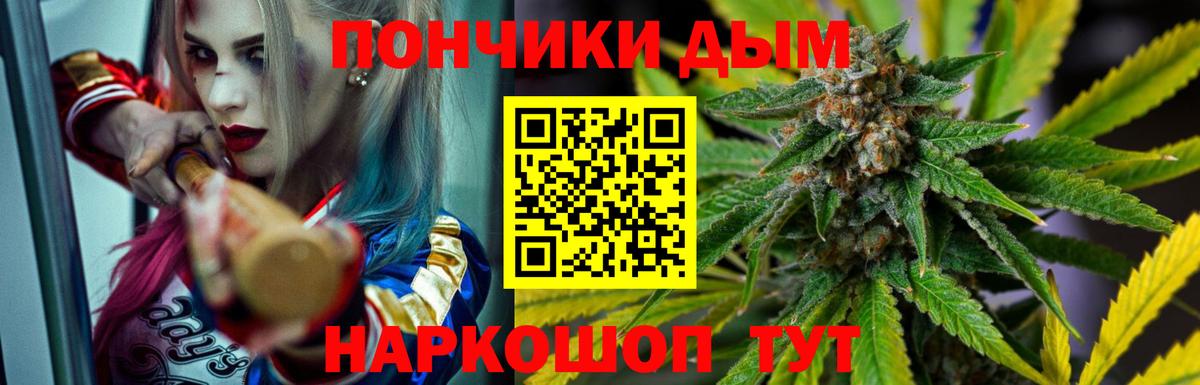 Каннабис Bruce Banner  Вход с VPN  Бошки марихуана Ganja  Канабис White Widow  Качканар  Марихуана планчик 
